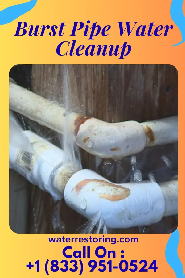 Burst Pipe Water Cleanup in Fife, WA