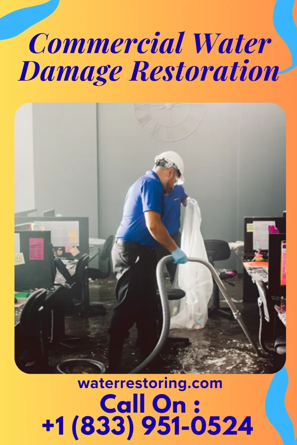 Commercial Water Damage Restoration in Fife, WA