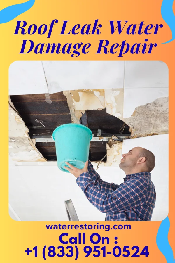 Roof Leak Water Damage Repair in Fife, WA